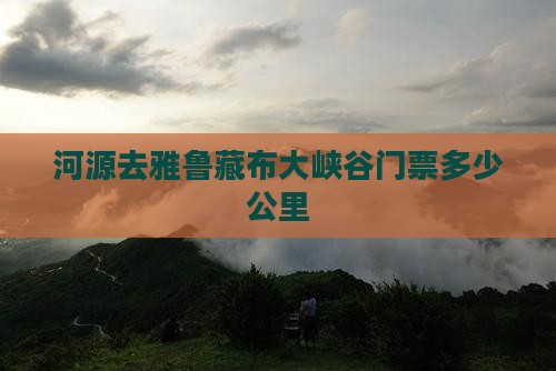河源去雅鲁藏布大峡谷门票多少公里