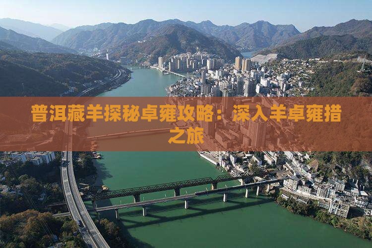 普洱藏羊探秘卓雍攻略：深入羊卓雍措之旅