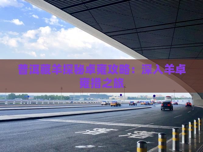 普洱藏羊探秘卓雍攻略：深入羊卓雍措之旅