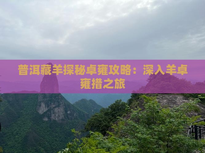 普洱藏羊探秘卓雍攻略：深入羊卓雍措之旅