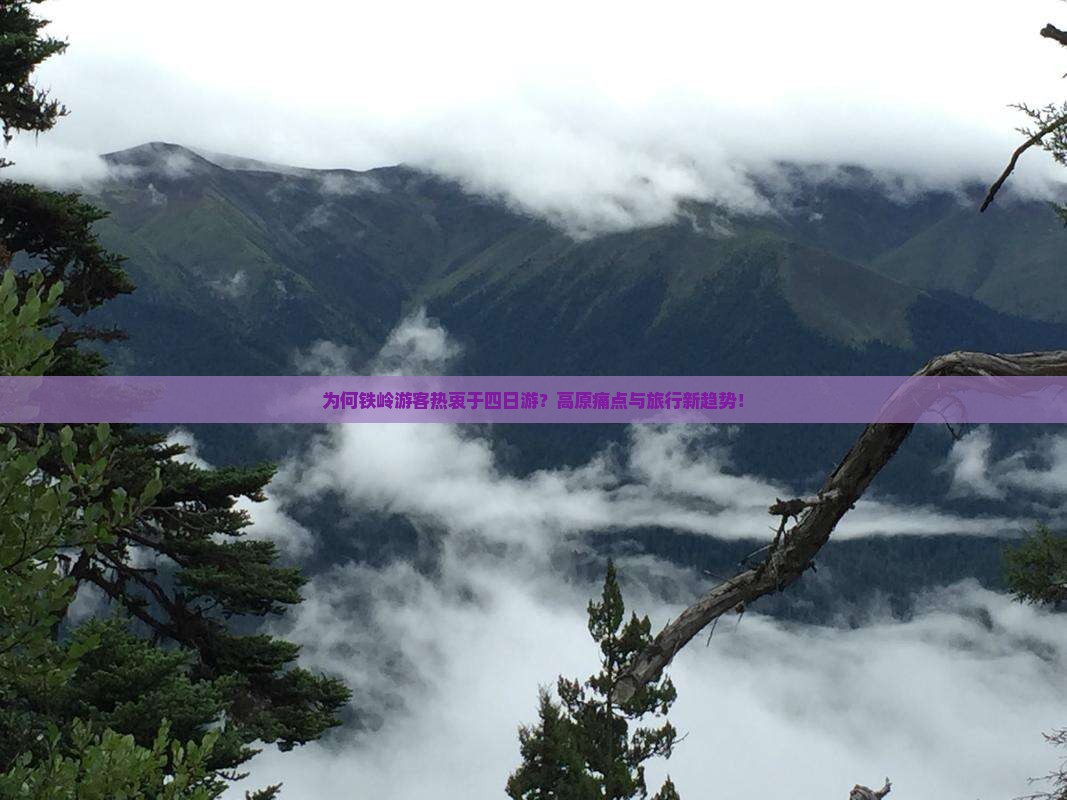 为何铁岭游客热衷于四日游？高原痛点与旅行新趋势！