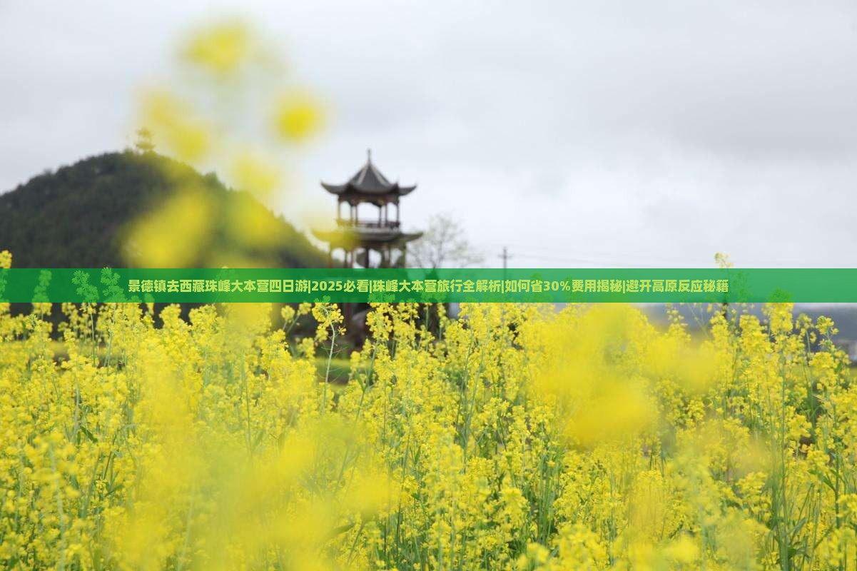 景德镇去西藏珠峰大本营四日游