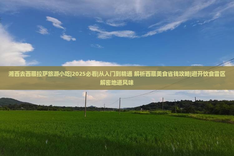 湘西去西藏拉萨旅游小吃