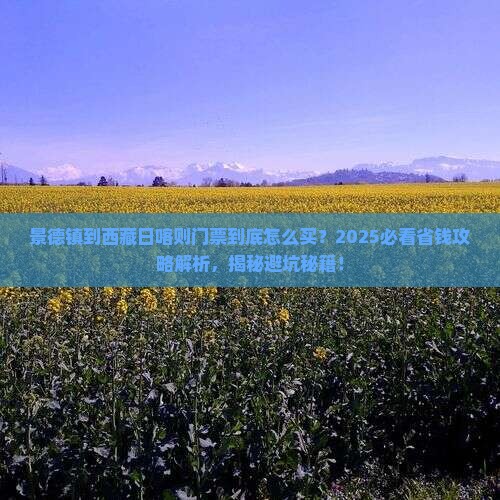 景德镇到西藏日喀则门票