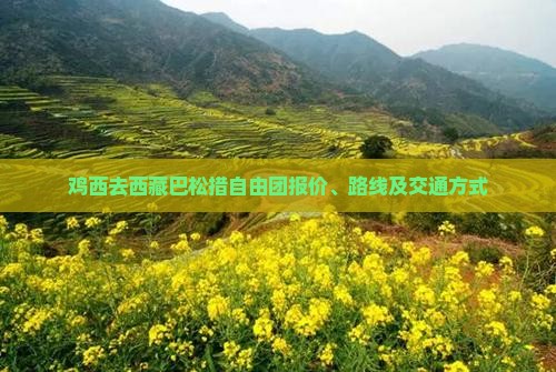 鸡西去西藏巴松措自由团