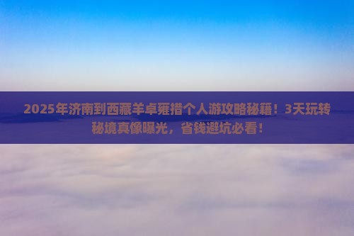 济南到西藏羊卓雍措个人游