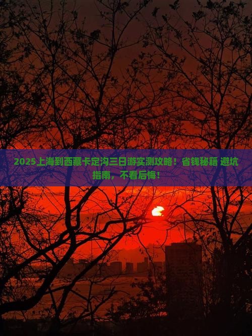 上海到西藏卡定沟三日游