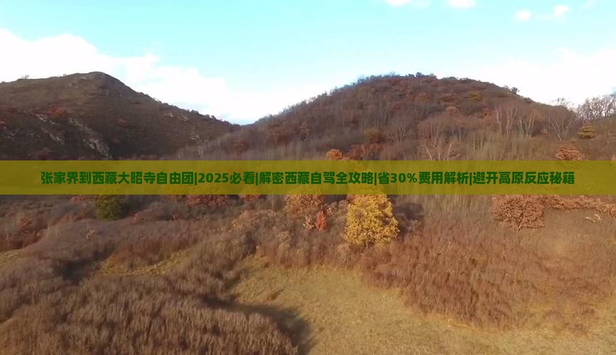 张家界到西藏大昭寺自由团