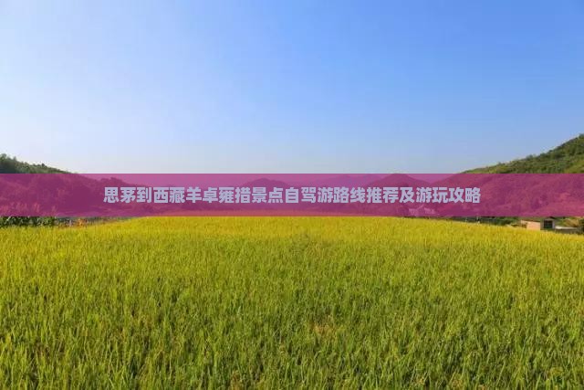 思茅到西藏羊卓雍措景点