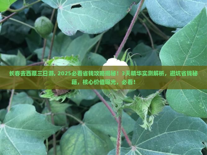 长春去西藏三日游