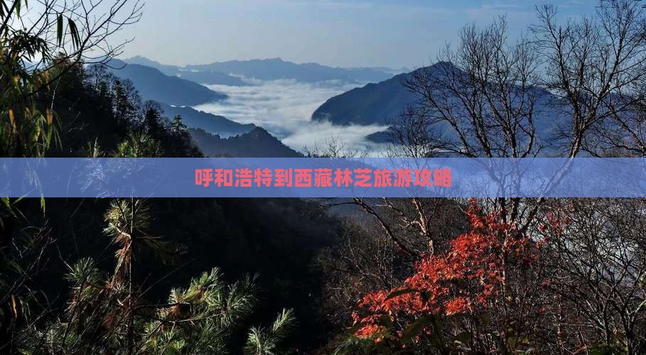 呼和浩特到西藏林芝自由行
