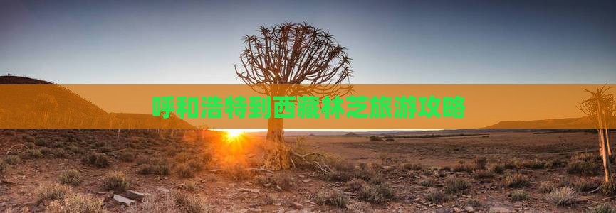 呼和浩特到西藏林芝自由行