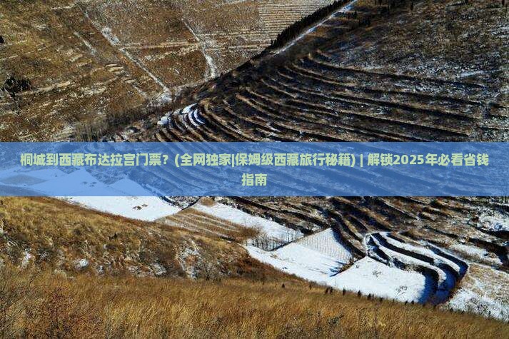 桐城到西藏布达拉宫门票