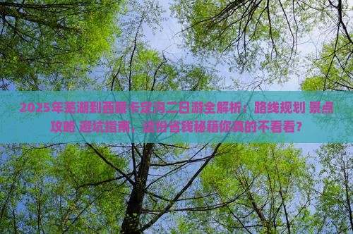 芜湖去西藏卡定沟二日游