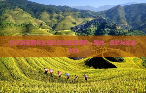 武汉到西藏林芝五日游