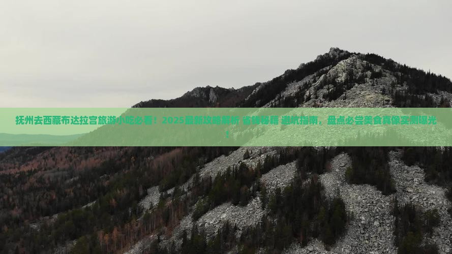 抚州去西藏布达拉宫旅游小吃