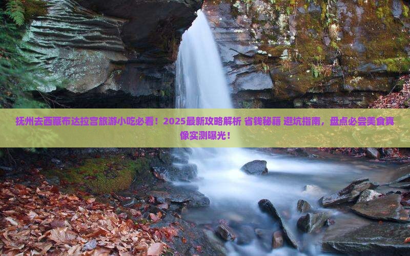 抚州去西藏布达拉宫旅游小吃