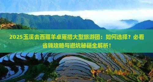 玉溪去西藏羊卓雍措大型旅游团