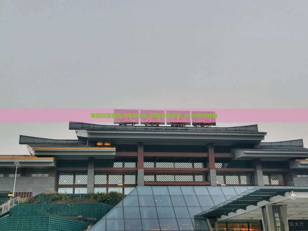 南阳到西藏林芝旅游小吃