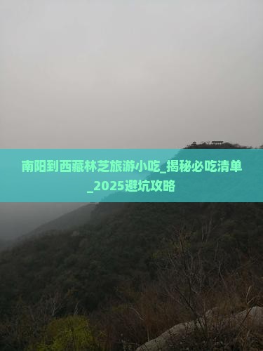 南阳到西藏林芝旅游小吃