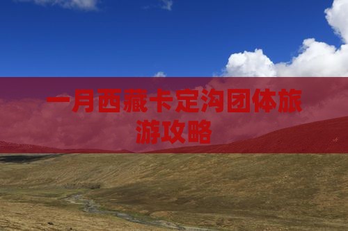 一月去西藏卡定沟团体旅游