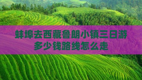 蚌埠去西藏鲁朗小镇三日游