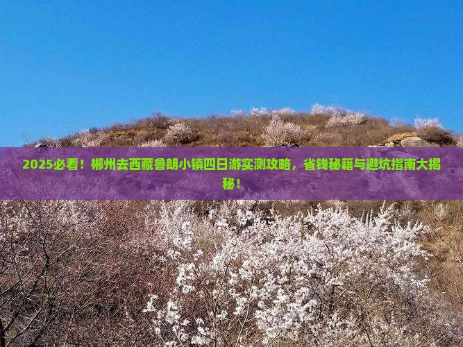郴州去西藏鲁朗小镇四日游