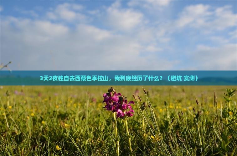 阜阳去西藏色季拉山个人游