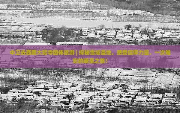 中卫去西藏大昭寺团体旅游