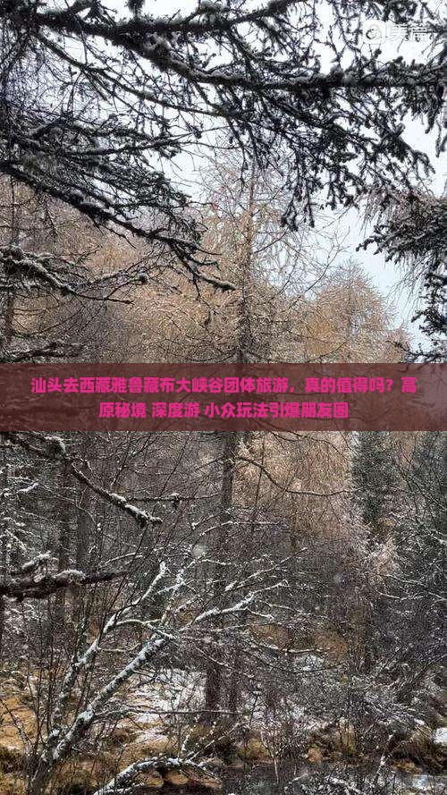 汕头去西藏雅鲁藏布大峡谷团体旅游