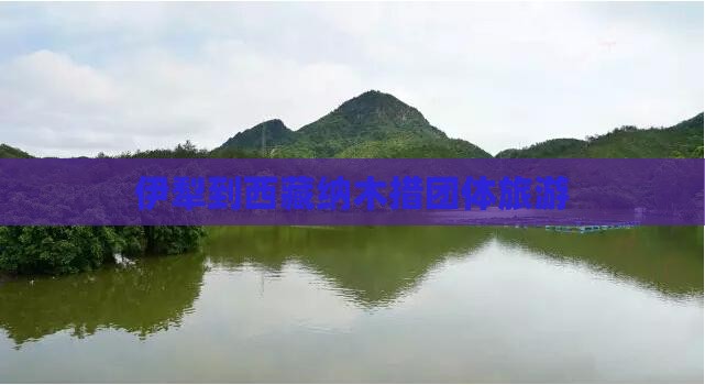 伊犁到西藏纳木措团体旅游