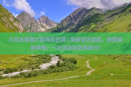 大同去西藏大昭寺五日游