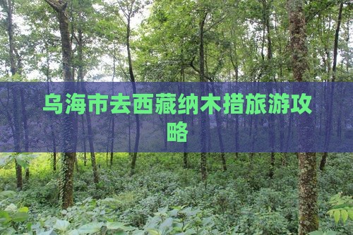 乌海市去西藏纳木措个人游
