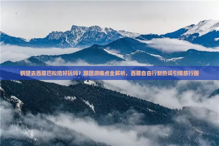 鹤壁去西藏巴松措旅行社
