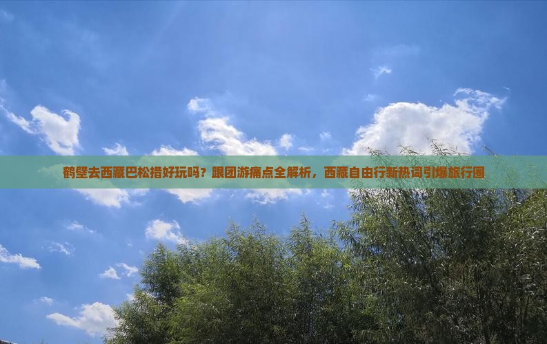 鹤壁去西藏巴松措旅行社