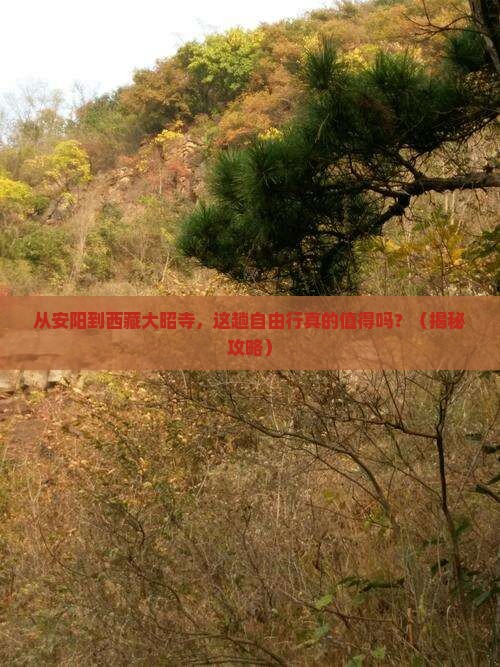安阳到西藏大昭寺自由行