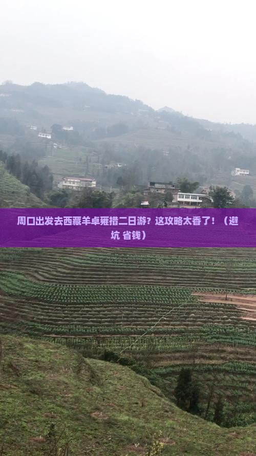 周口去西藏羊卓雍措二日游