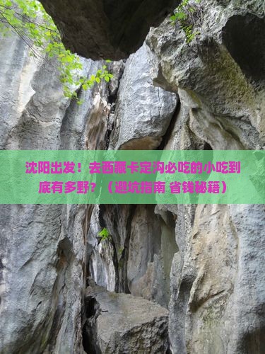 沈阳到西藏卡定沟旅游小吃