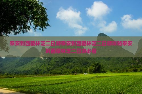 泰安到西藏林芝二日游
