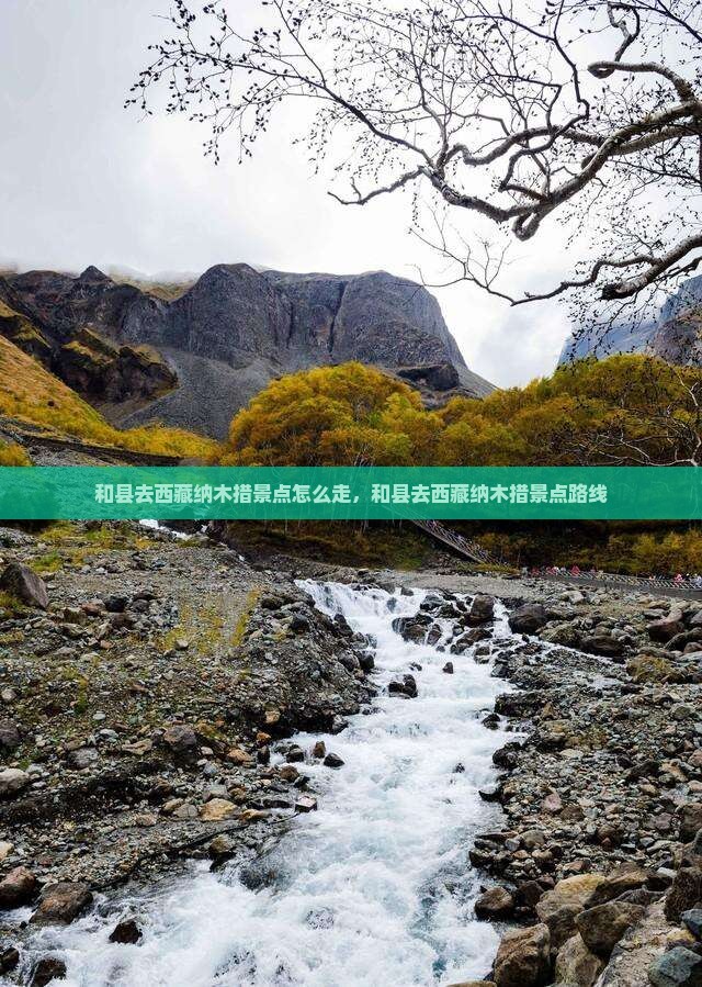 和县去西藏纳木措景点