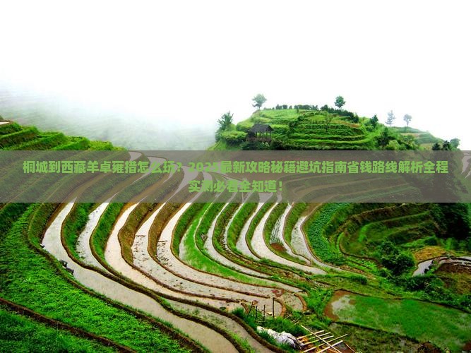 桐城到西藏羊卓雍措哪里玩