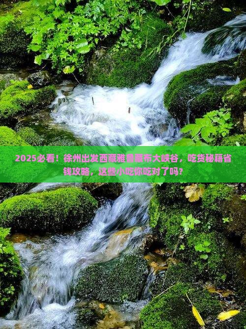 徐州到西藏雅鲁藏布大峡谷旅游小吃