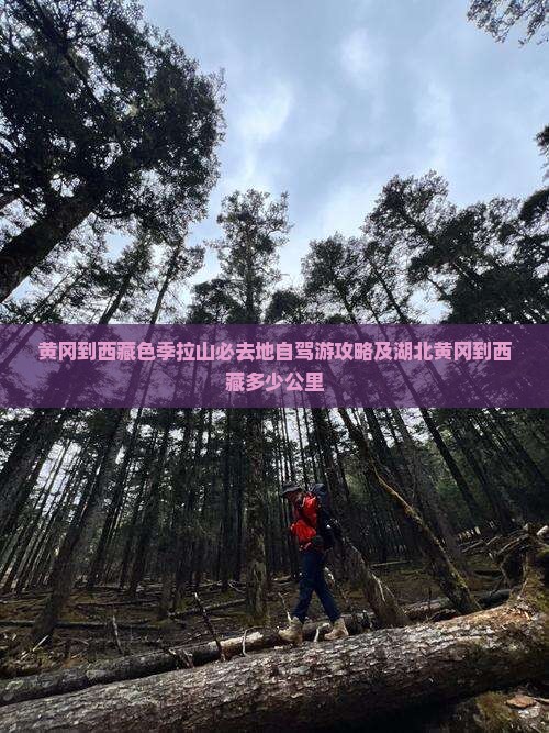 黄冈到西藏色季拉山必去地