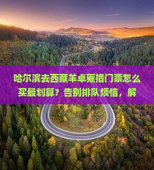 哈尔滨去西藏羊卓雍措门票