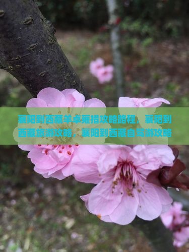 襄阳到西藏羊卓雍措攻略