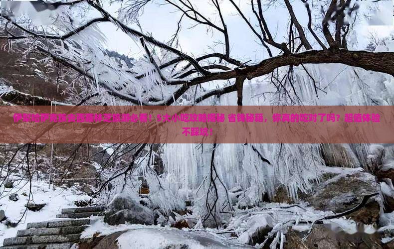伊犁哈萨克到西藏林芝旅游小吃
