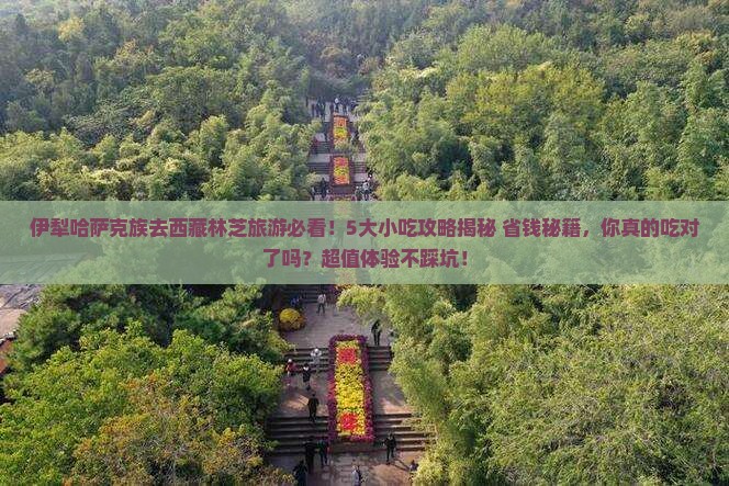 伊犁哈萨克到西藏林芝旅游小吃