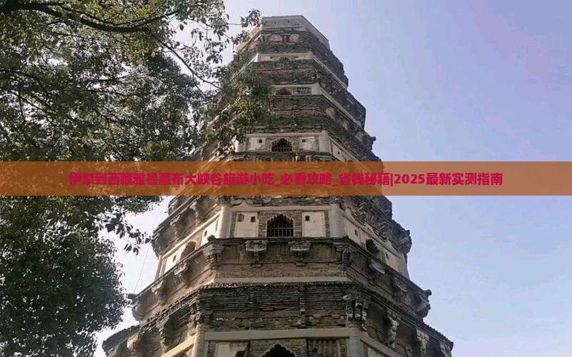 伊犁到西藏雅鲁藏布大峡谷旅游小吃