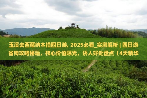 玉溪去西藏纳木措四日游