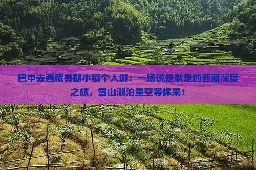 巴中去西藏鲁朗小镇个人游